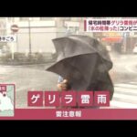 帰宅時間帯ゲリラ雷雨が関東に 氷の粒降ったコンビニも停電(2023年6月28日)