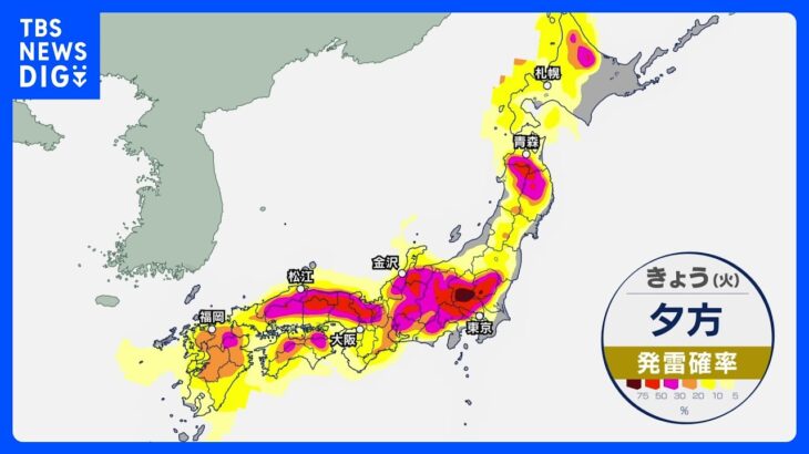 【6月13日 今日の天気】大気不安定　本州付近は急な雨や雷雨　沖縄は梅雨前線停滞で断続的に雨｜TBS NEWS DIG