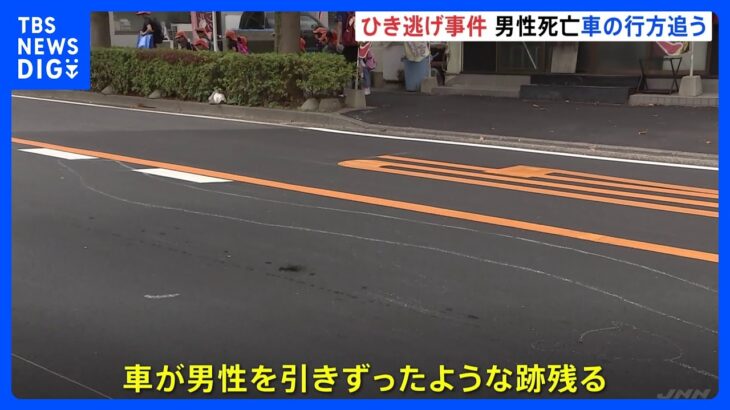 中年男性が道路で倒れ死亡車がはねそのまま逃走かひき逃げ事件として捜査川崎高津区TBSNEWSDIG