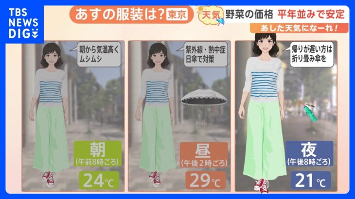 【6月6日 関東の天気】今月の野菜物価予報｜TBS NEWS DIG