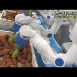 人手不足や食品ロス対策に AIやロボットの最先端技術(2023年6月6日)