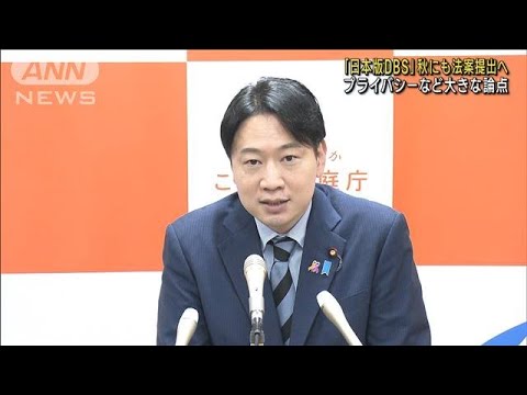 日本版DBS秋にも法案提出へ保育教育職の性犯罪歴確認(2023年6月16日)