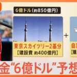 大谷翔平FAで契約金6億ドル予想も!?その額東京スカイツリー2基自家用ジェット1機に相当Nスタ解説TBSNEWSDIG