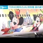 JALが東京ディズニー40周年の特別塗装機を国内線で運航(2023年6月9日)