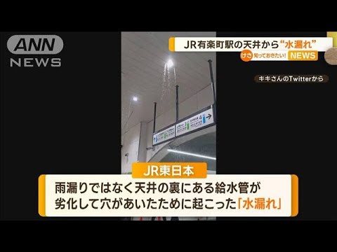 JR有楽町駅の天井から水漏れ知っておきたい(2023年6月16日)
