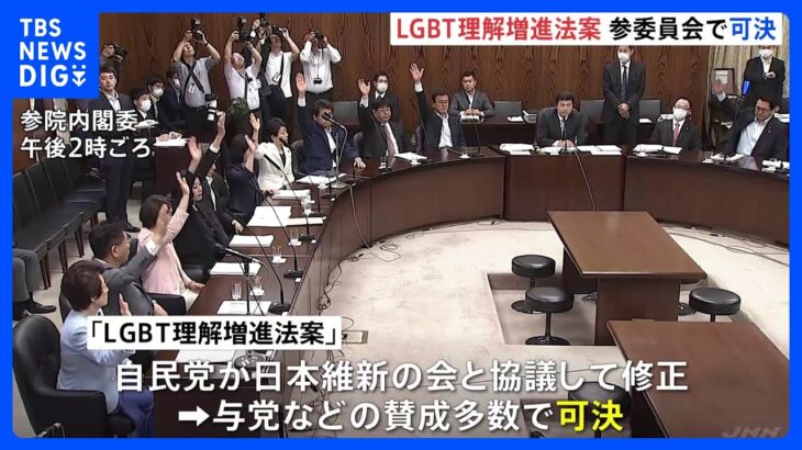 速報LGBT法案参院の委員会で可決修正の文言に当事者からは懸念TBSNEWSDIG