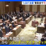 LGBT法案、自民が維新案「丸のみ」修正　衆院委員会で可決 「性同一性」→「ジェンダー・アイデンティティ」に｜TBS NEWS DIG