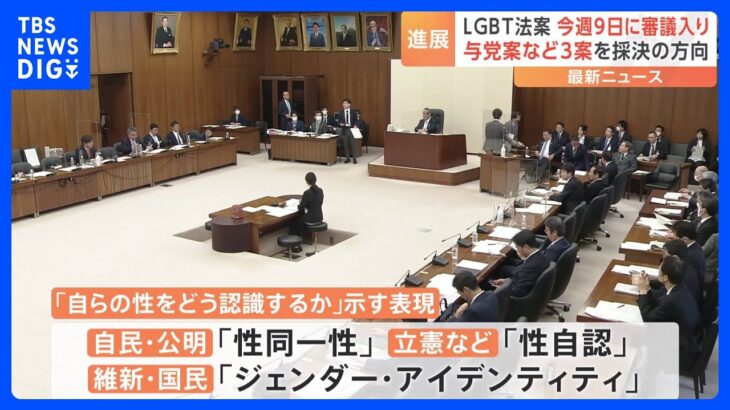 LGBT法案、9日に衆院で審議入りへ 「自らの性をどう認識するか」与野党から3つの案｜TBS NEWS DIG