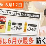 【Nスタ解説まとめ】細菌性食中毒防ぐには？/“性加害を前提として調査” 「再発防止特別チーム」が検証へ/“闇バイト”疑いの強盗が急増 /アマゾンの密林から子ども４人が“奇跡の生還” （6月12日放送）