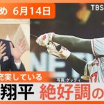 Nスタ解説まとめ大谷翔平打率4割超絶好調のワケ人はなぜ傘を置き忘れるふるさと納税東京の逆襲糖尿病を抱え日本一周する男性TBS NEWS DIG