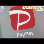 PayPay他社クレカ停止1年以上延期知っておきたい(2023年6月23日)