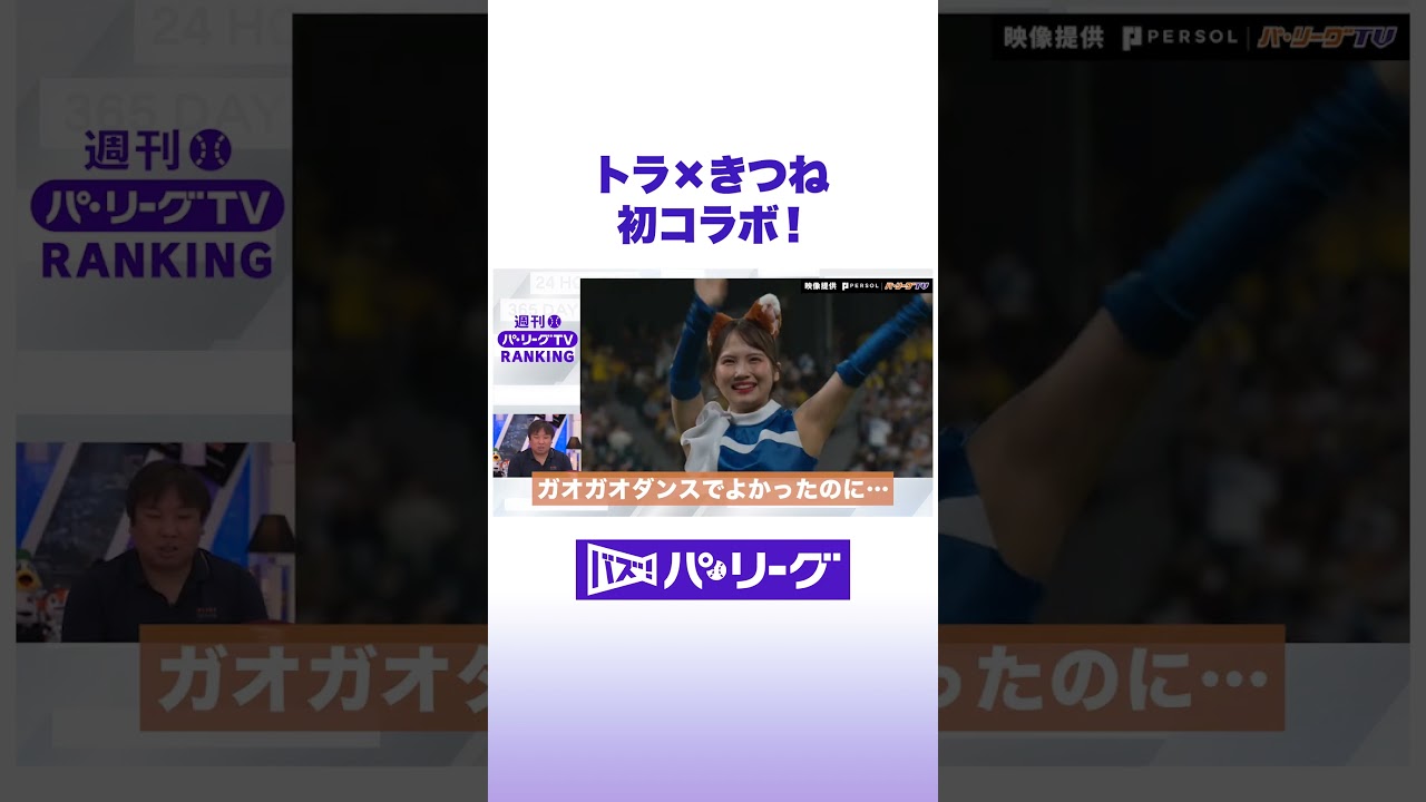 トラきつね 初コラボ #バズパ #shorts