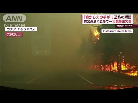 「森から火の手が!」恐怖の瞬間　異常高温×乾燥で…大規模山火事(2023年6月1日)