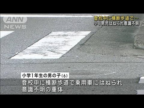 登校中に横断歩道で小1男児はねられ意識不明宇都宮市(2023年7月5日)