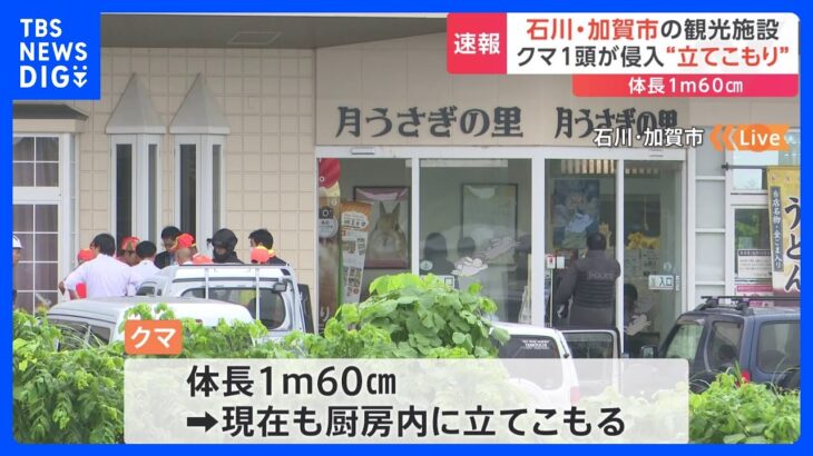 “月うさぎの里”厨房内にクマ立てこもる　体長1メートル60センチ　国道305号線が一部通行止め　石川・加賀市｜TBS NEWS DIG