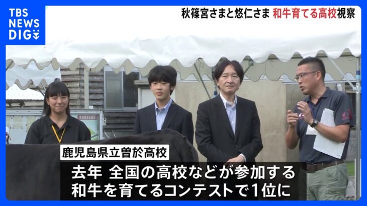 秋篠宮さまと悠仁さま　和牛コンテストで1位の鹿児県の高校で和牛の調教を視察｜TBS NEWS DIG