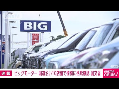 【速報】国道沿いビッグモーター10店舗前で植樹に枯死を確認　国土交通省(2023年7月28日)