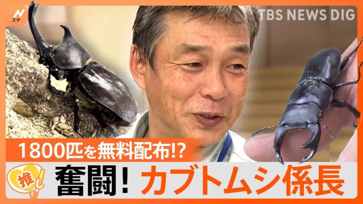 “10万円自腹”で1800匹のカブトムシなどを無料配布！？謎の人物・カブトムシ係長とは【ゲキ推しさん】｜TBS NEWS DIG