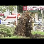 ゲリラ雷雨で？10mの大木折れる　天気急変…名古屋“瞬間35.4m”(2023年7月12日)