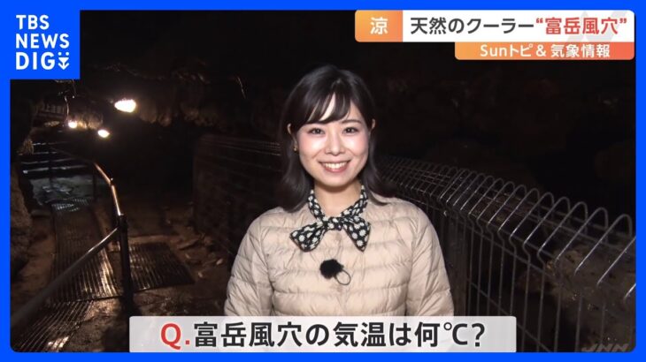 天然のクーラー！1年を通して気温3℃「富岳風穴」富士山の溶岩が作り出した自然の洞窟【SUNトピ】｜TBS NEWS DIG