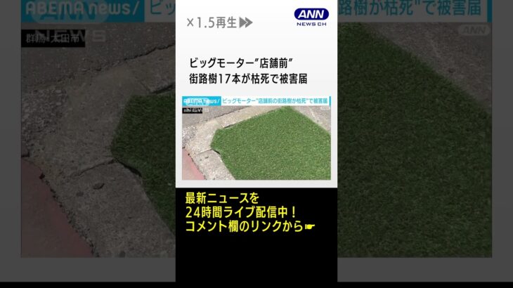 群馬のビッグモーター店舗前で街路樹17本が枯死　県土木事務所が被害届 #Shorts