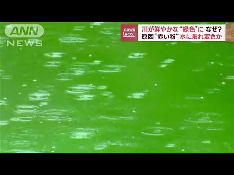 川が鮮やかな緑色に原因は赤い粉水に触れ変色か(2023年7月5日)