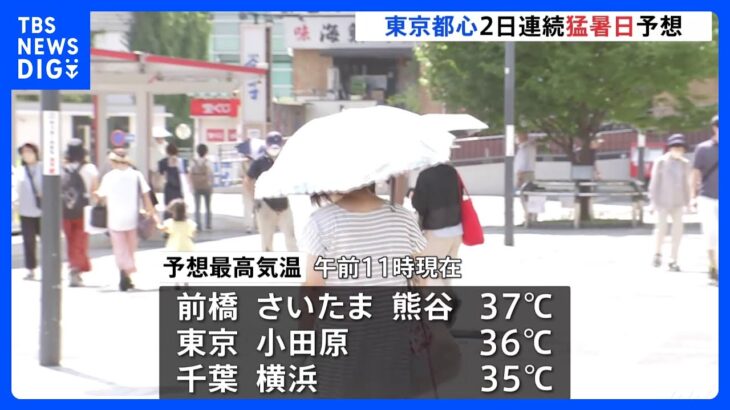 東京都心2日連続で猛暑日となる予想環境省と気象庁22の地域に熱中症警戒アラートを発表TBSNEWSDIG