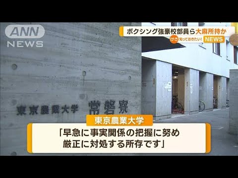 強豪・東京農業大ボクシング部の男ら2人逮捕　大麻所持か…部は無期限の活動停止処分【知っておきたい！】(2023年7月13日)