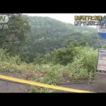 車が崖下に転落　親子2人死亡　山形・鶴岡市の国道(2023年7月17日)