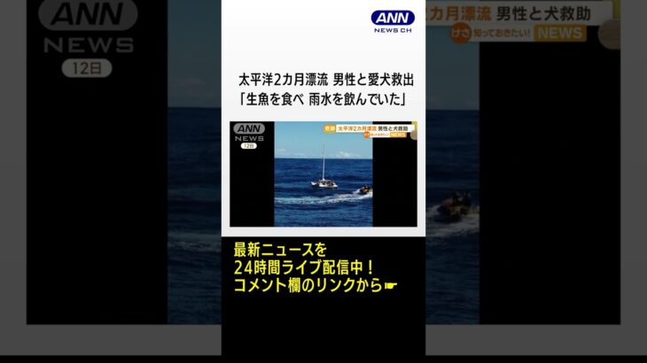 太平洋2カ月漂流の男性と愛犬“奇跡”救出　嵐でヨット破損し連絡不能に…漁船が発見 #shorts