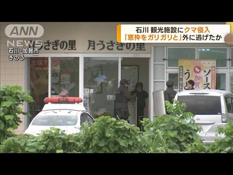 観光施設にクマ侵入　窓から外に逃げたか　石川(2023年7月20日)