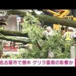 【速報】名古屋市で倒木　ゲリラ雷雨の影響か(2023年7月12日)