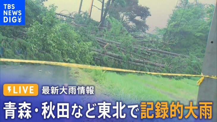 【大雨情報】青森・秋田など東北で記録的大雨(2023年7月15日)