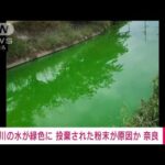 川の色が緑色に投棄された粉末が原因か奈良(2023年7月5日)