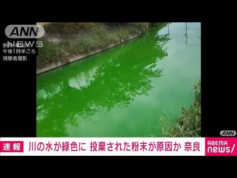 川の色が緑色に投棄された粉末が原因か奈良(2023年7月5日)