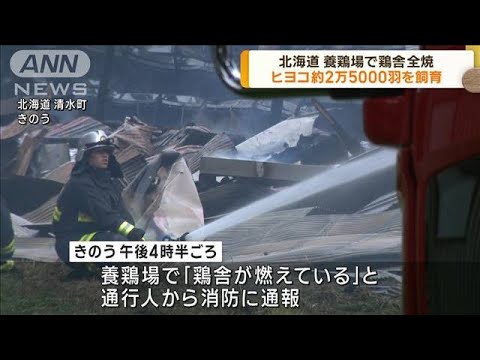 北海道　養鶏場で火事　ヒヨコ約2万5000羽を飼育(2023年7月17日)