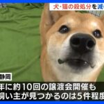 「奇跡に近い」犬・猫の殺処分が3年連続過去最少の静岡県　保護活動を担うボランティア団体の奮闘【現場から、】