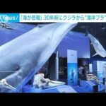 「海が悲鳴を上げている」 30年前の“海洋プラ”初公開(2023年7月15日)