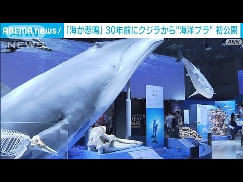 「海が悲鳴を上げている」 30年前の“海洋プラ”初公開(2023年7月15日)