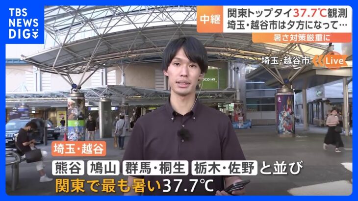 最高気温37.7度　関東で最も暑かった街の1つは埼玉・越谷市「埼玉で暑い街と言えば熊谷なのに意外です」｜TBS NEWS DIG