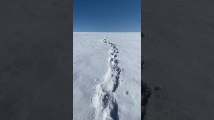 【片道4時間】カナック氷帽へ（氷帽とは帽子のように山頂を覆う氷の塊）360度見渡す限り真っ白の世界【北極ノート】#shorts