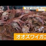 厄介者オオズワイガニ即売会に長い行列4000匹わずか10分で完売北海道室蘭市知っておきたい(2023年7月3日)