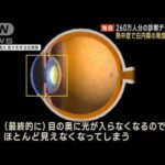 【独自】熱中症で白内障の発症率4倍に　260万人分の診察データ解析(2023年7月28日)