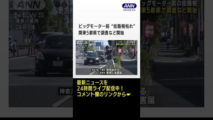 ビッグモーター店舗前で街路樹枯れる　関東5都県で調査など開始 #shorts