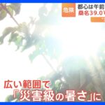 日本各地で危険な暑さ　愛知県では60代男性2人死亡　熱中症か｜TBS NEWS DIG