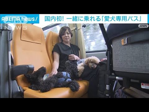 日本初愛犬専用バス試験運行開始ペットツーリズム市場拡大に期待(2023年7月1日)
