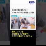 日本初愛犬専用バス試験運行開始ペットツーリズム市場拡大に期待(2023年7月1日)#shorts