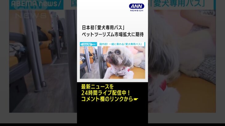 日本初愛犬専用バス試験運行開始ペットツーリズム市場拡大に期待(2023年7月1日)#shorts