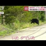 取材中にクマに遭遇車の前に有名温泉街で男性襲われ出血(2023年7月4日)