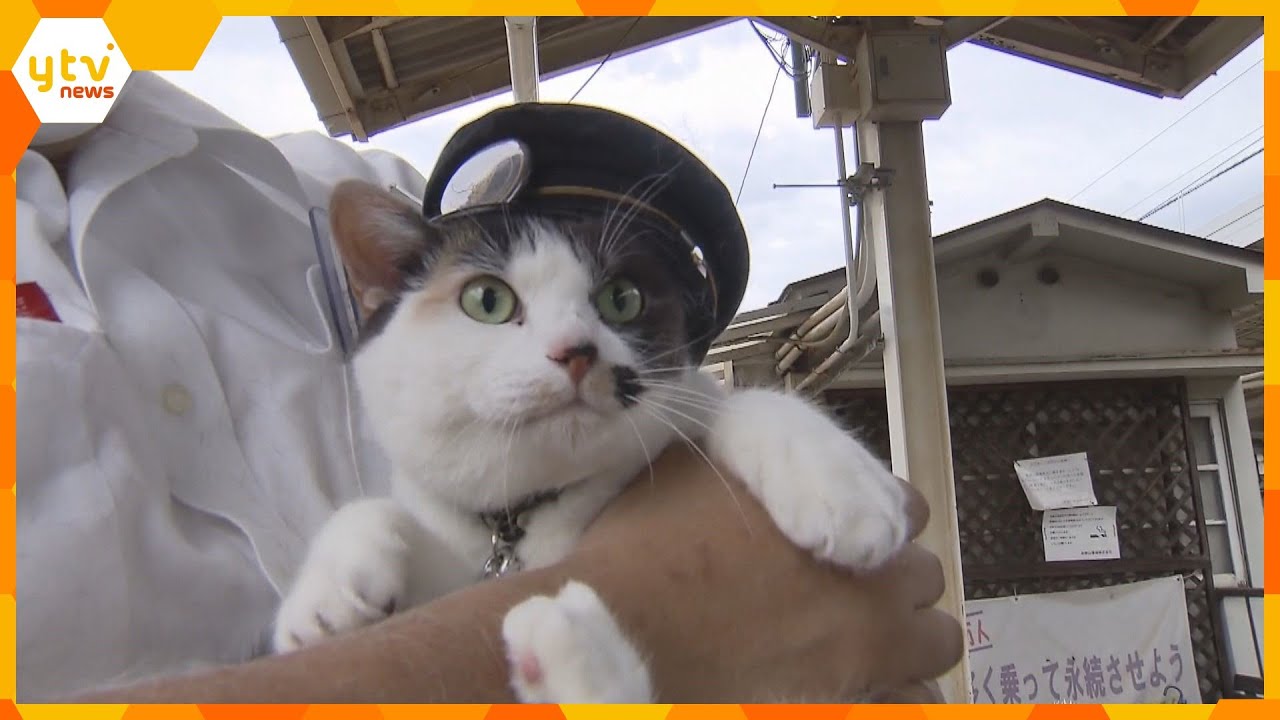 三毛猫の駅長代理よんたまが参加地元の子どもたちと七夕の飾り付け和歌山電鉄和歌山駅